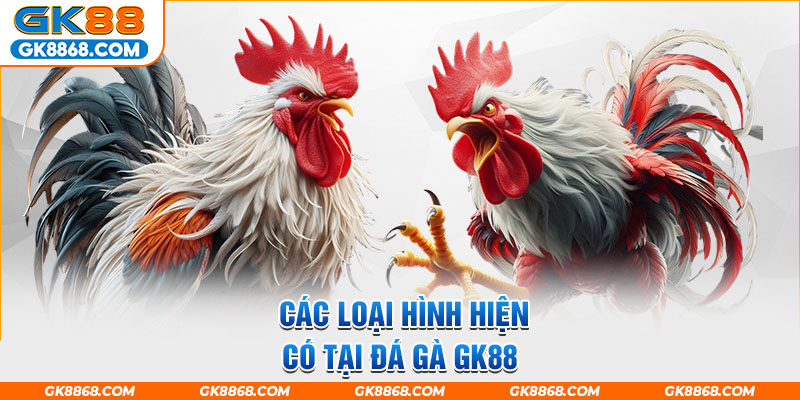 Các loại hình hiện có tại đá gà GK88