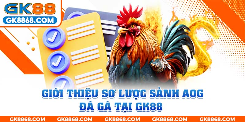 Giới thiệu sơ lược sảnh AOG đá gà tại GK88