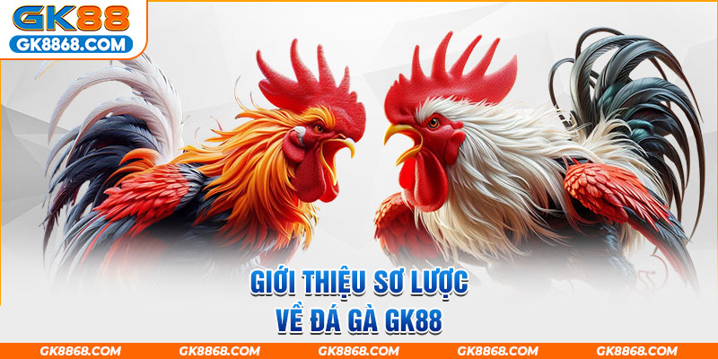 Giới thiệu sơ lược về đá gà GK88