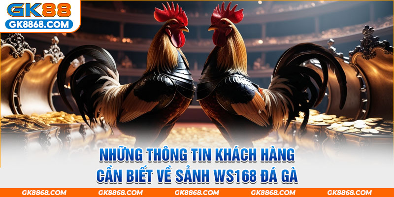 Những thông tin khách hàng cần biết về sảnh WS168 đá gà