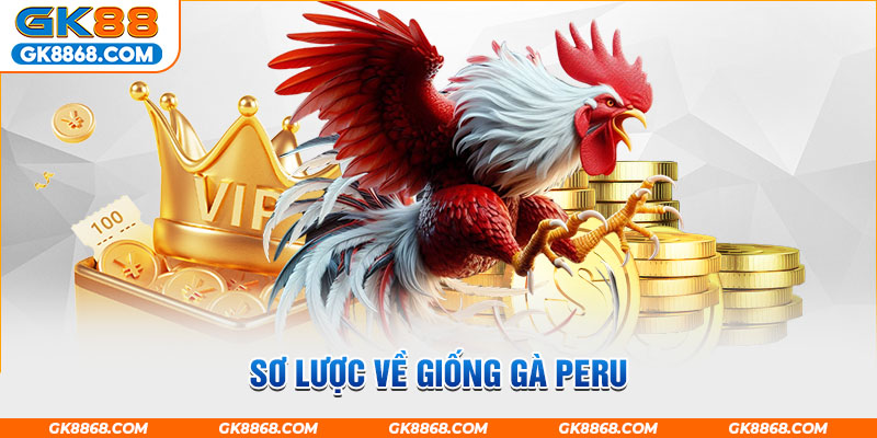 Sơ lược về giống gà Peru