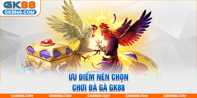 Ưu điểm nên chọn chơi đá gà GK88